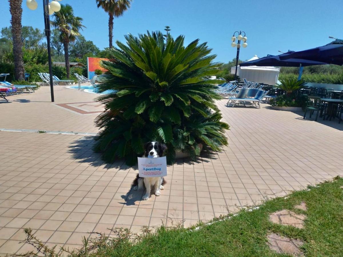 רוזטו דליי אברוצי Hotel Marina מראה חיצוני תמונה